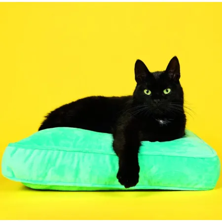 Kalendář Cats (LP01-26)