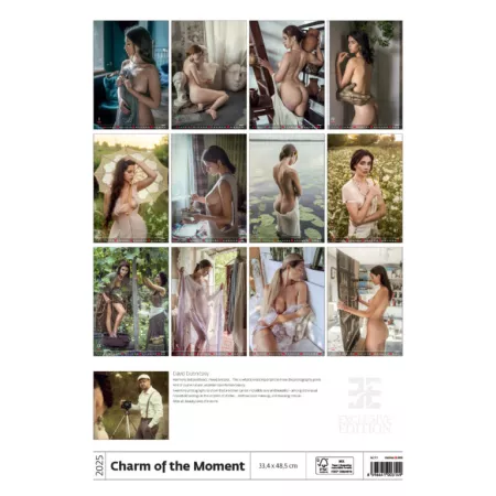 Kalendář Charm of the Moment (N277-25)