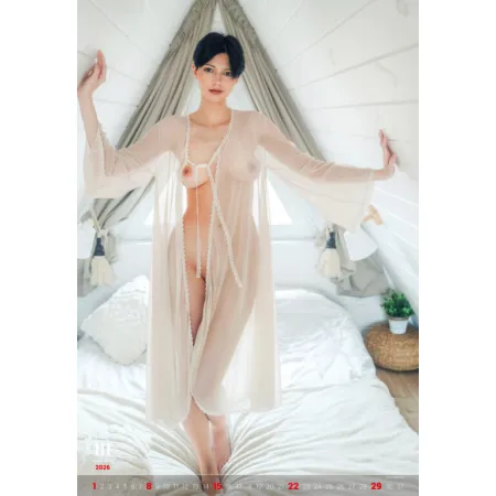 Kalendář Charm of the Moment (N277-26)