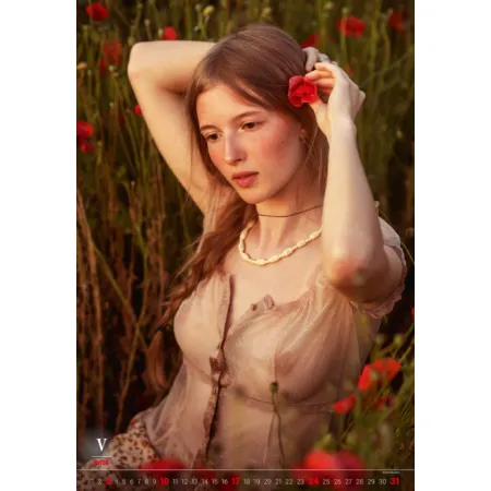 Kalendář Charm of the Moment (N277-26)