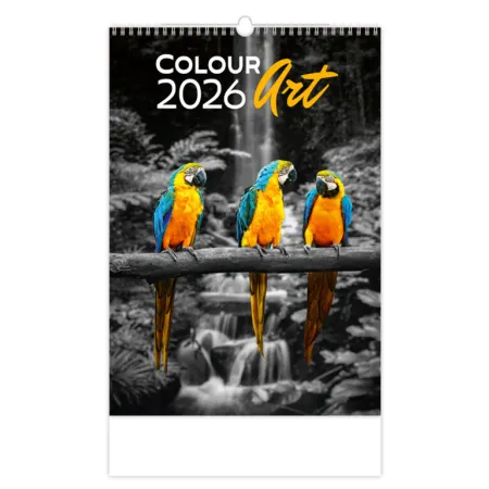 Kalendář Colour Art (N148-26)