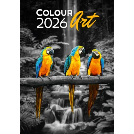Kalendář Colour Art (N148-26)