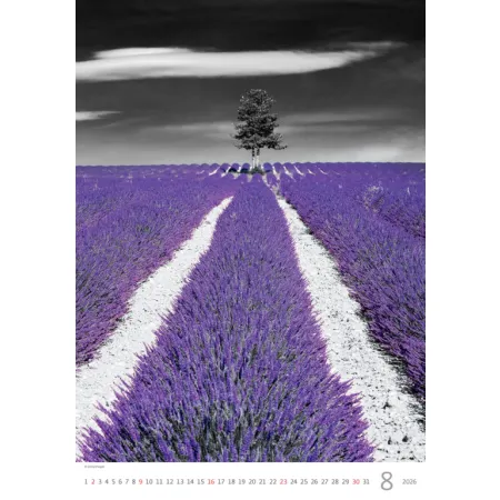 Kalendář Colour Art (N148-26)