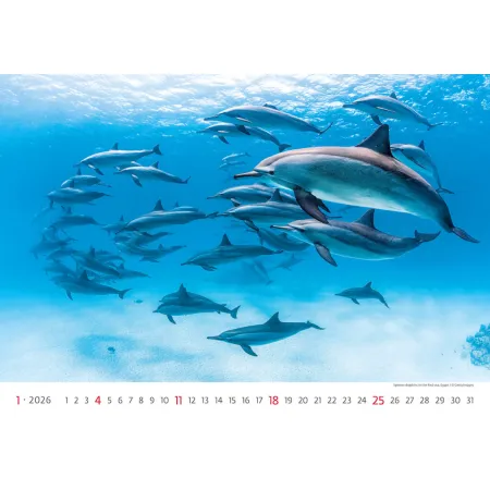 Kalendář Deep Blue (N136-26)