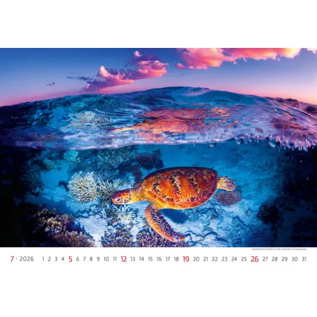 Kalendář Deep Blue (N136-26)