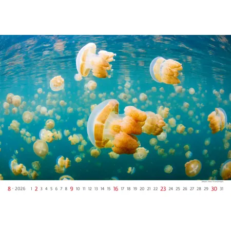 Kalendář Deep Blue (N136-26)