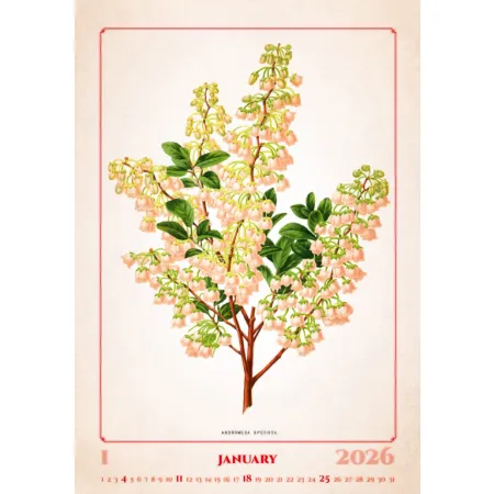 Kalendář Herbarium (N144-26)