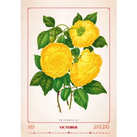 Kalendář Herbarium (N144-26)