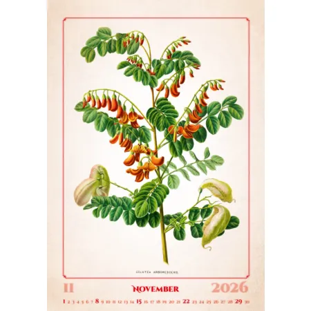 Kalendář Herbarium (N144-26)