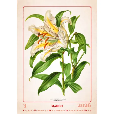 Kalendář Herbarium (N144-26)