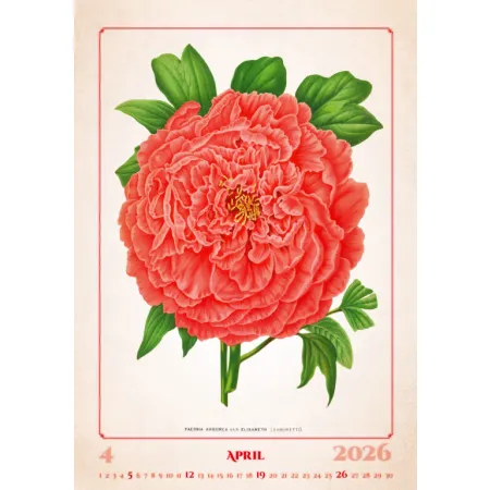 Kalendář Herbarium (N144-26)