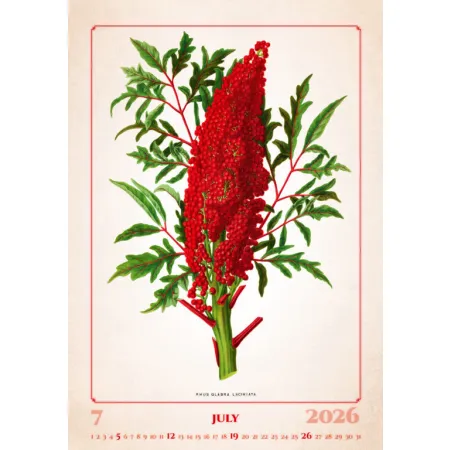 Kalendář Herbarium (N144-26)