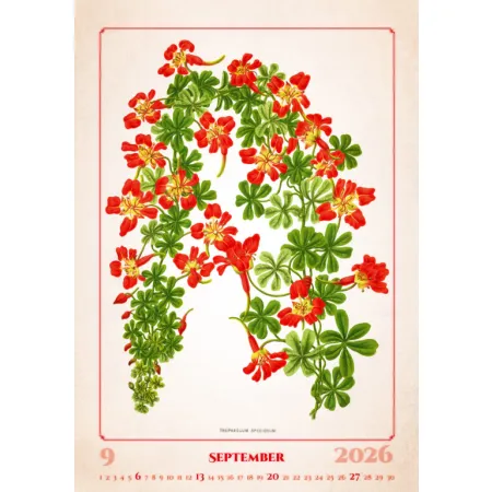 Kalendář Herbarium (N144-26)