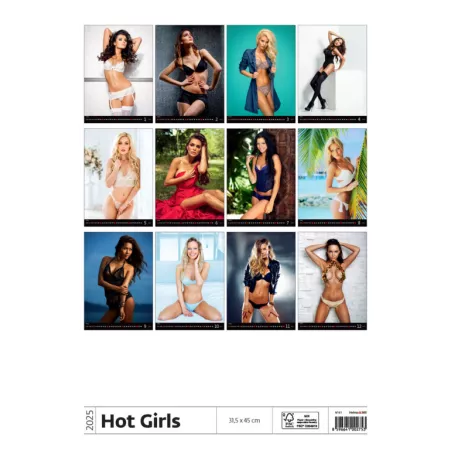 Kalendář Hot Girls (N161-25)