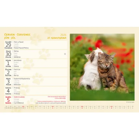 Kalendář Kočky (S33-26)