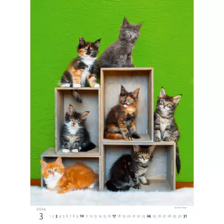 Kalendář Koťátka (N180-24)