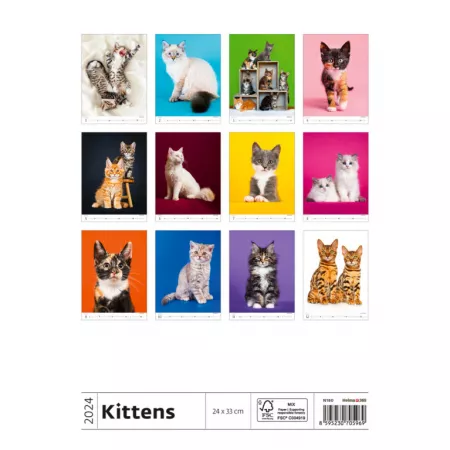 Kalendář Koťátka (N180-24)