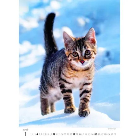 Kalendář Koťátka (N180-26)