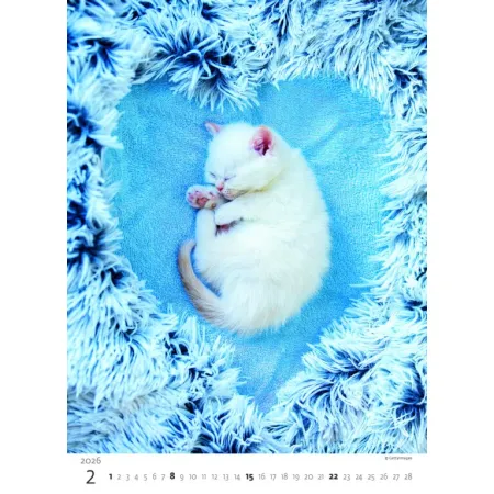Kalendář Koťátka (N180-26)