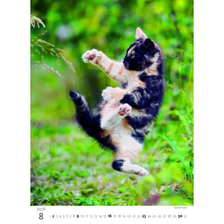 Kalendář Koťátka (N180-26)