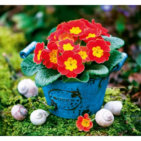 Kalendář Kouzlo domova - vázanka (N191-26)