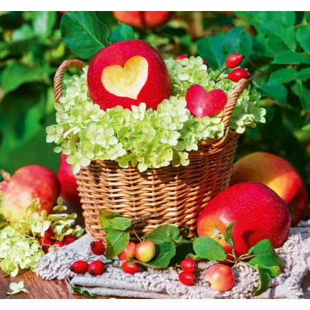 Kalendář Kouzlo domova - vázanka (N191-26)