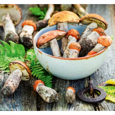 Kalendář Kouzlo domova - vázanka (N191-26)