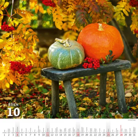 Kalendář Krásy venkova (N174-26)