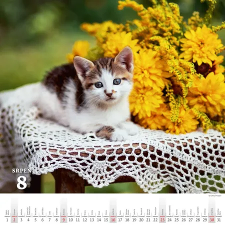 Kalendář Krásy venkova (N174-26)