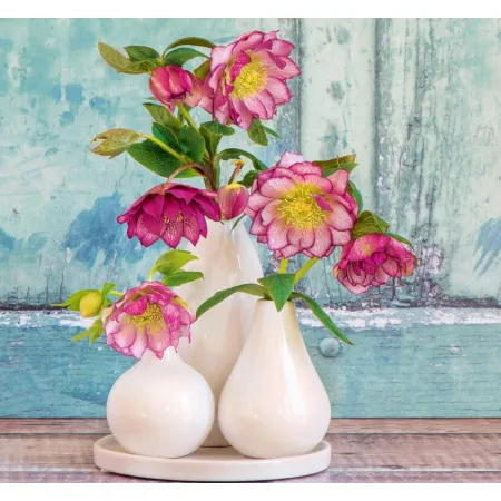 Kalendář Kytice - vázanka (N192-26)