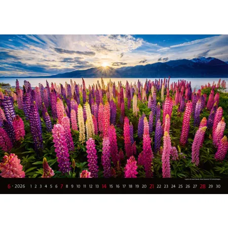Kalendář Landscapes (N128-26)