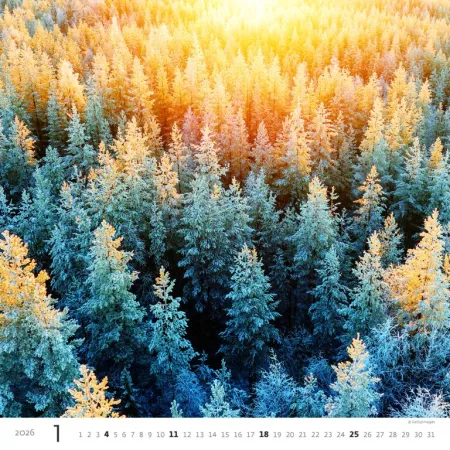 Kalendář Les (N171-26)