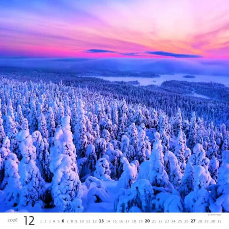 Kalendář Les (N171-26)