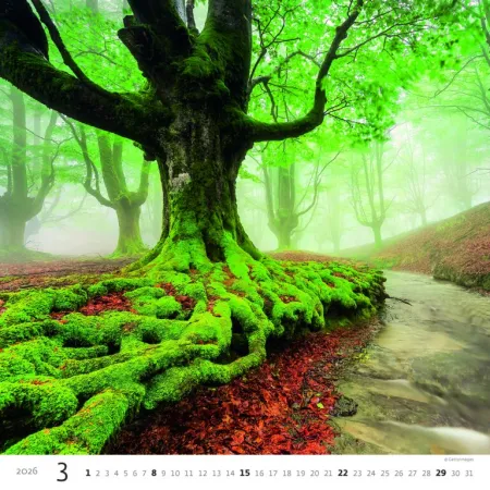 Kalendář Les (N171-26)