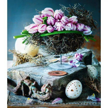 Kalendář Live Design (N260-26)