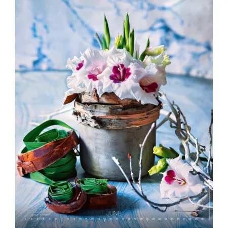 Kalendář Live Design (N260-26)