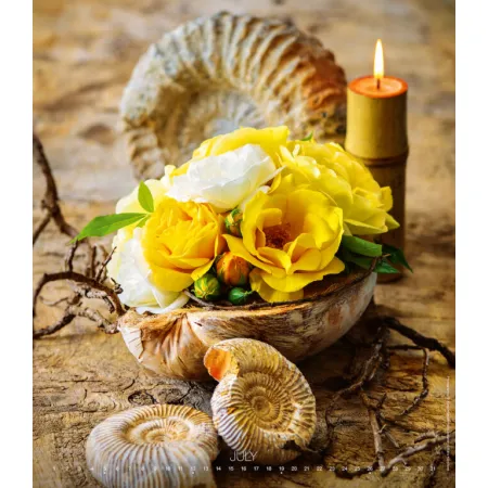 Kalendář Live Design (N260-26)