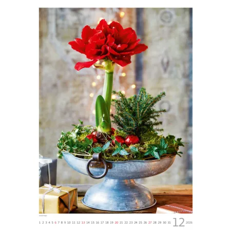 Kalendář Magic Flowers (N145-26)