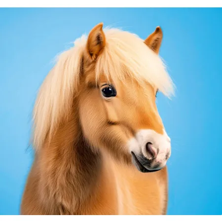 Kalendář Mazlíčci - vázanka (N196-26)