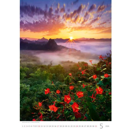 Kalendář Nature Emotions (N140-26)