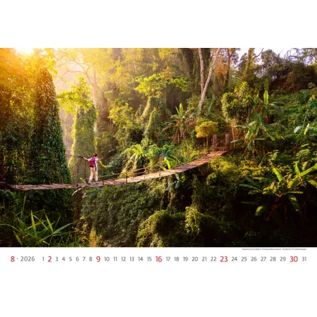 Kalendář New Horizons (N135-26)