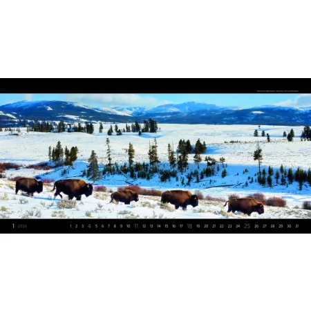 Kalendář Panoramaphoto (N261-26)