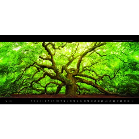 Kalendář Panoramaphoto (N261-26)