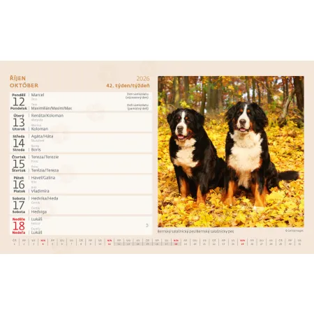 Kalendář Pejskové (S34-26)