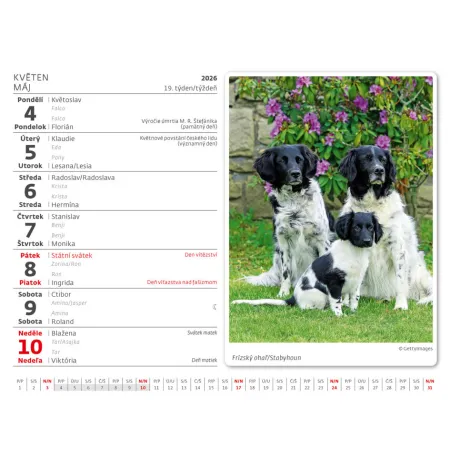 Kalendář Pejskové (SM13-26)