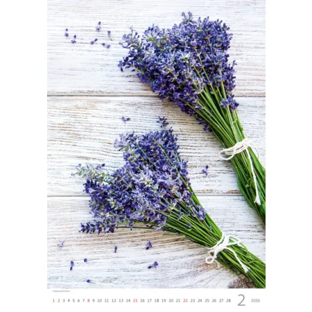 Kalendář Provence (N142-26)