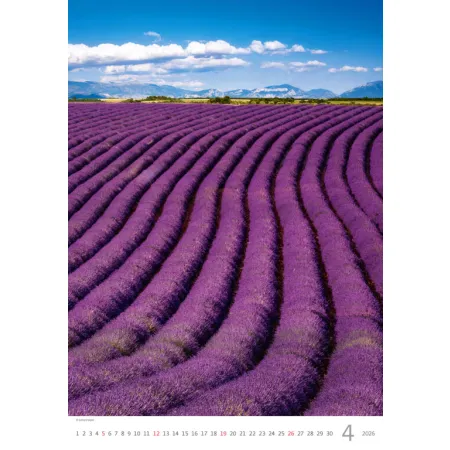 Kalendář Provence (N142-26)