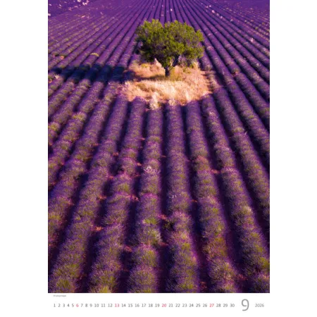 Kalendář Provence (N142-26)