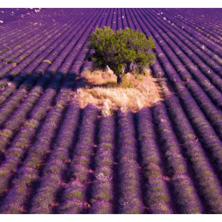 Kalendář Provence - vázanka (N195-26)