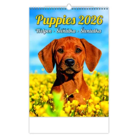 Kalendář Štěňátka (N181-26)
